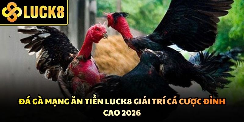 Đá Gà Mạng Ăn Tiền Luck8