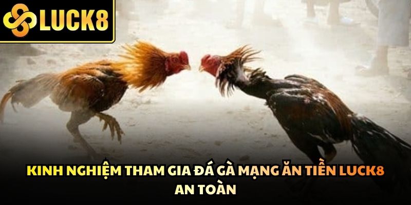Phân tích kỹ lưỡng thông số về chiến kê giúp nâng cao xác suất thắng cược