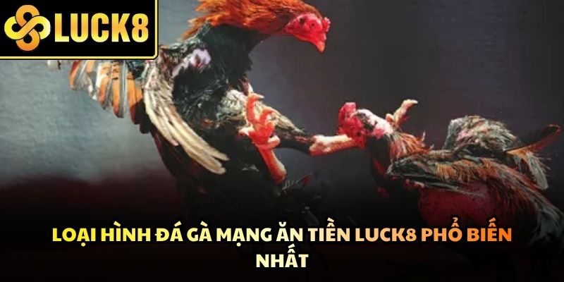 Các sảnh cược đa dạng mang đến nhiều lựa chọn giải trí thú vị cho thành viên
