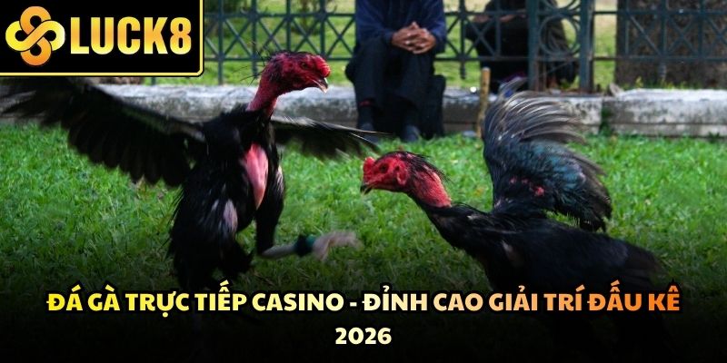 Đá Gà Trực Tiếp Casino - Đỉnh Cao Giải Trí Đấu Kê 2026