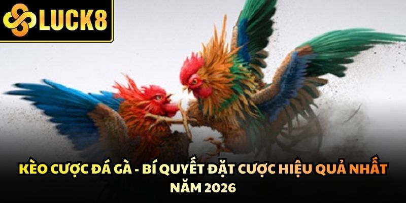 Kèo Cược Đá Gà - Bí Quyết Đặt Cược Hiệu Quả Nhất Năm 2026