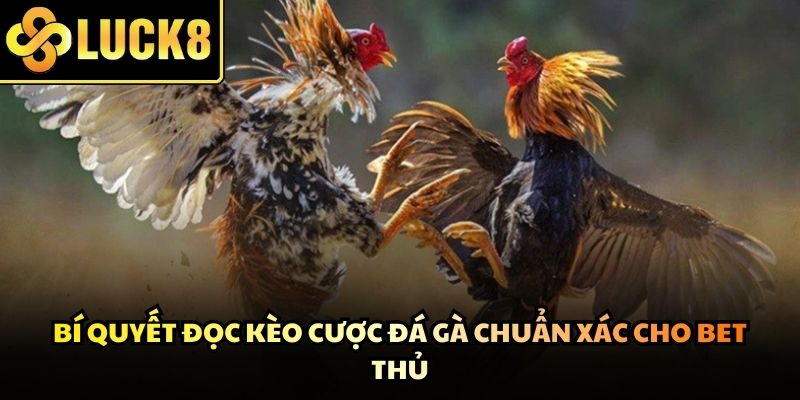 Rèn luyện kỹ năng quan sát giúp bạn nâng cao tỷ lệ thắng khi đặt cược