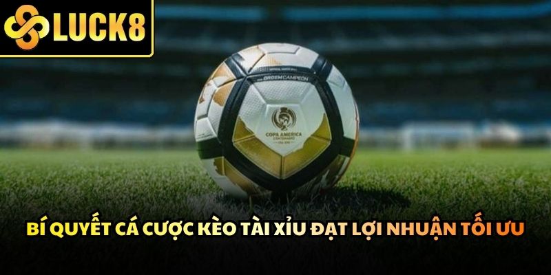 Dữ liệu lịch sử đối đầu giúp đưa ra nhận định cược Kèo Tài Xỉu chuẩn xác