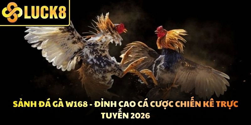 Sảnh Đá Gà W168 - Đỉnh Cao Cá Cược Chiến Kê Trực Tuyến 2026